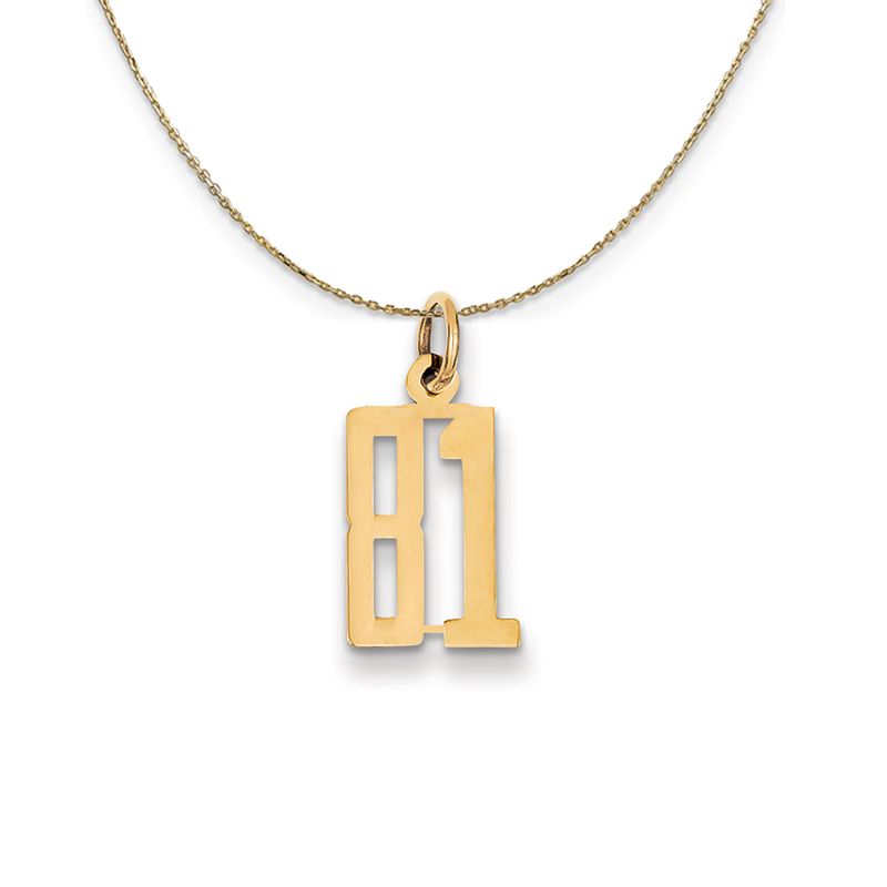 14k Yellow Gold, Alumni Small Elongated Number 81 Necklace - 20 Inch